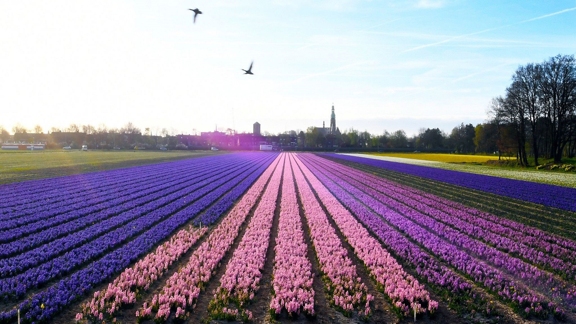 wonen-aan-weeresteyn-locatie-header.jpg