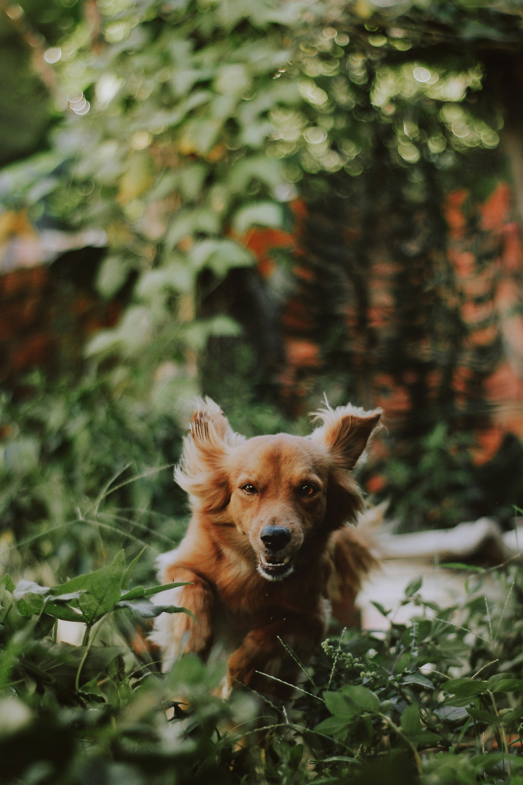 Wonen aan Weeresteyn sfeerbeeld