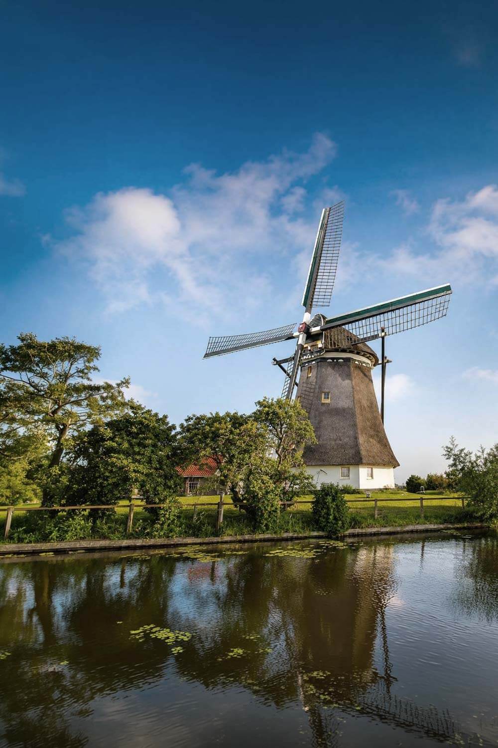 parque-rodenrijsch-sfeerbeeld.jpg