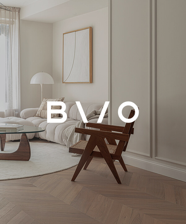 BVO-logo-en-visual.jpg