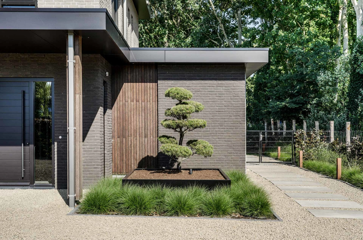 Entree moderne villa met boom