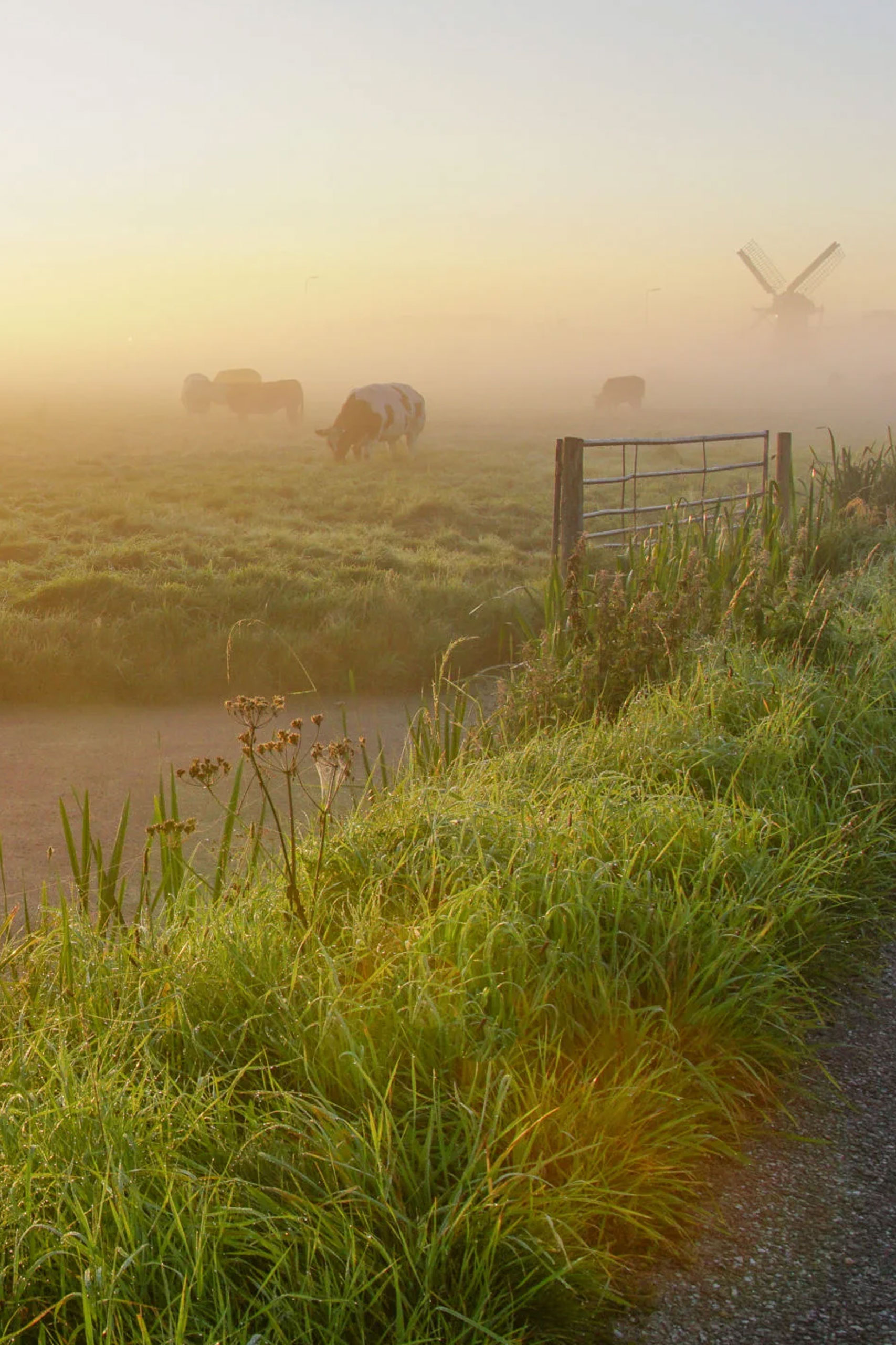 Villapark Mezenlaan sfeerbeeld