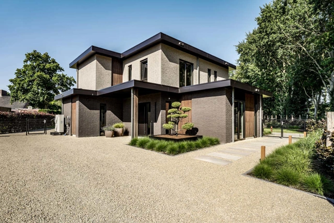Entree moderne villa met boom en oprijlaan