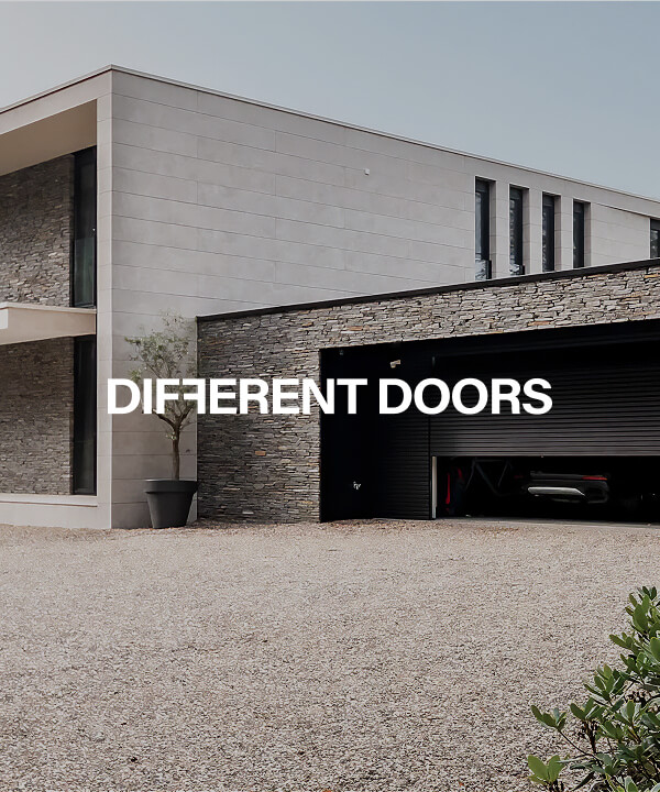 Different-Doors-logo-en-visual.jpg