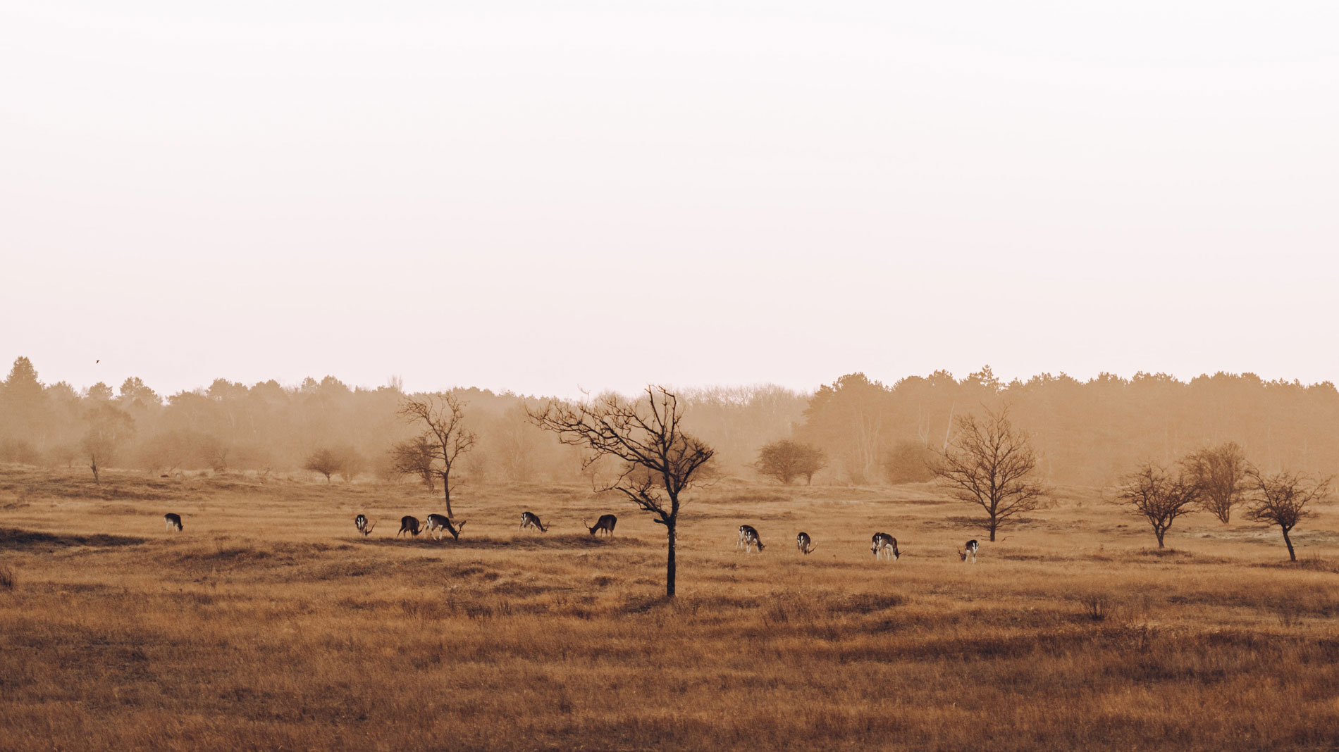 de-six-hillegom-locatie-header.jpg